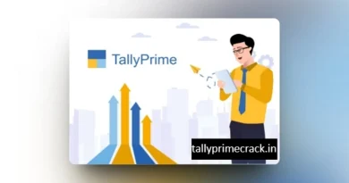 Is It Illegal To Crack Tally Prime